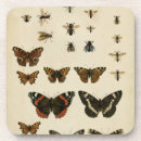 Search for insect barware Bees
