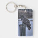 Search for owl photo key rings Wildlife