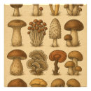 Search for mycology posters Fungus