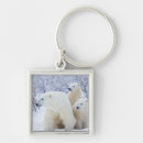 Search for carnivorous key rings Bear