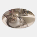 Search for sink stickers Kitty