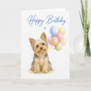 Search for yorkie birthday cards Yorkshire terrier