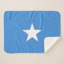 Search for somali Federal republic of somalia