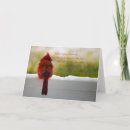 Search for visitor cards Photograph