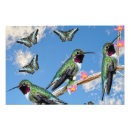 Search for blue hummingbird art Hummingbirds