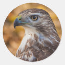 Search for classic round glossy stickers Nature