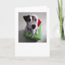Search for terrier christmas cards Jrt