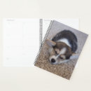 Search for cutest office supplies Pembroke welsh corgi