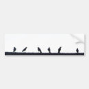 Search for crow bumper stickers Black