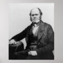 Search for darwin posters Scientist