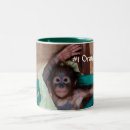 Search for orangutan baby mugs Wildlife