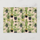 Search for oasis postcards Fern