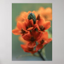 Search for dreamy art Flowers