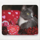 Search for valentine cat electronics Hearts