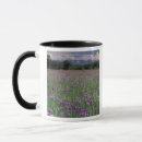 Search for anchorage mugs Nature