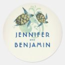 Search for tropical turtle stickers Tortoise