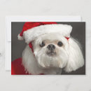 Search for interest cards Santa claus
