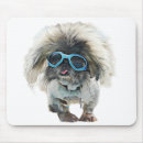 Search for sanctuaries mousepads Animal