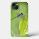 Search for dragonfly and damselfly electronics Insect