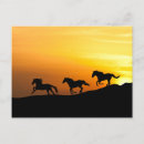 Search for horse and cowgirl birthday cards Cowboy