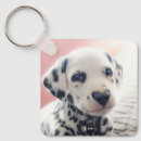 Search for dalmatian key rings Funny
