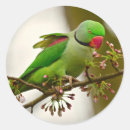Search for necked stickers Wildlife