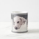Search for exquisite mugs Cute