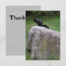 Search for black squirrel cards Cute