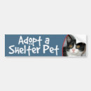 Search for black and white cat bumper stickers Adopt