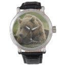 Search for predator watches Nature