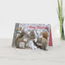 Search for red squirrel christmas cards Squirrels