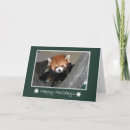 Search for zoo panda cards Red