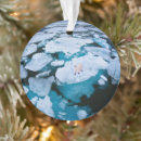 Search for change christmas tree decorations Winter