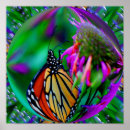 Search for monarch butterfly posters Insect