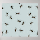Search for ant posters Illustration