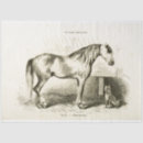 Search for equestrian tissue paper Vintage