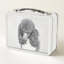 Search for poodle food storage Puppy