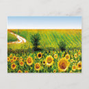 Search for expansive postcards Landscape