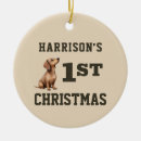 Search for dog lover christmas tree decorations Cute puppy
