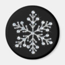 Search for crystal magnets Snowflake