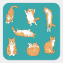 Search for unique cat stickers Cute
