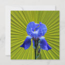 Search for iris flower cards Floral