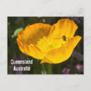 Search for travel photography postcards Flower