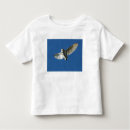 Search for barn owl tshirts Tyto alba