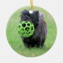 Search for cairn terrier christmas tree decorations Pet