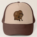 Search for meme hats Animals