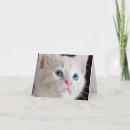 Search for kittens note cards Adorable