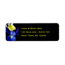 Search for yellow iris Floral photography