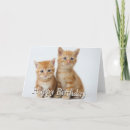 Search for kitten cards Ginger cat