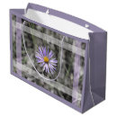 Search for blue aster Purple